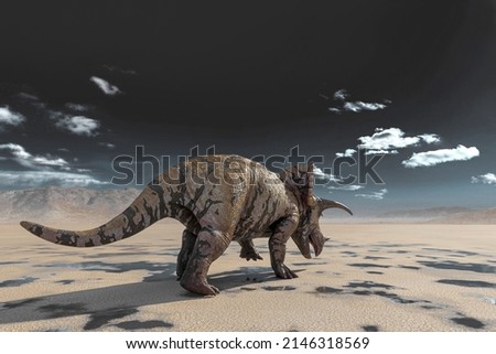 triceratops on the desert walking after rain rear view, 3d illustration
