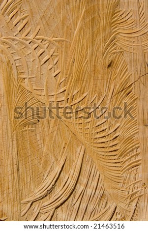 Photo of abstract background of brown wood