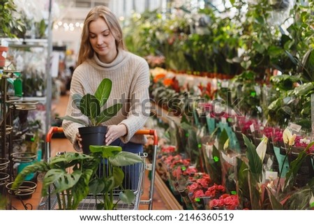 Woman with shopping cart buys potted plant for garden at farmers market. Farming season opening