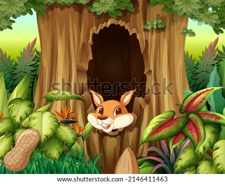 Nature scene with many trees and squirrel illustration