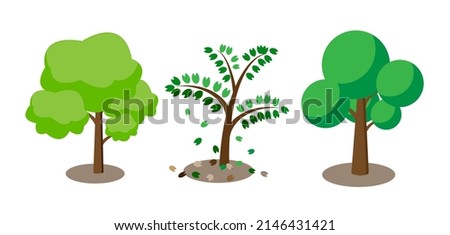 Set of green trees isolated on white background. Natural object for landscape design, park and outdoor graphic. Vector illustration.