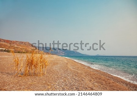Turkey sea beach landscape with dry grass on foreground
Relaxing calm photo of empty beach and cane