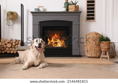 Adorable Golden Retriever dog on floor near electric fireplace indoors Royalty-Free Stock Photo #2146481815