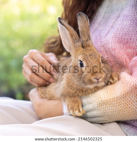 Asian woman holding healthy Lovely bunny easter fluffy rabbits, Many color baby rabbit on posing on white background. The Easter hares. Close - up of a rabbit.