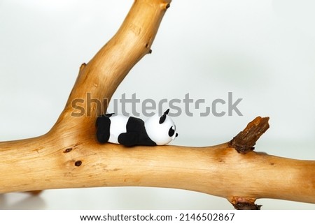 Plasticine panda hangs on a branch. White background, collage blank.