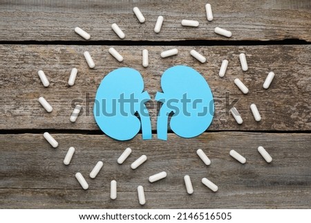 Paper cutout of kidneys and pills on wooden table, flat lay