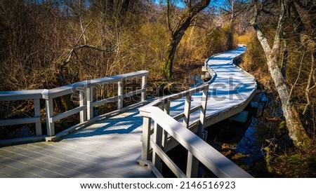 Curved gray boardwalk with safety guardrails in the forest with bare trees and bushes on Cape Cod