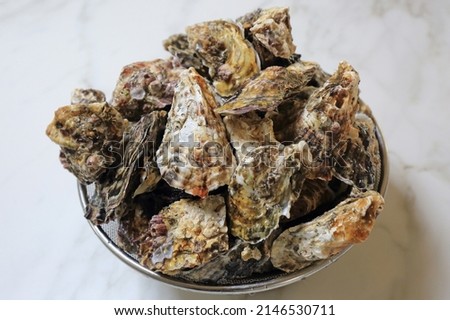 Close-up of staked live oyster shells on stainless steel sieve, South Korea
