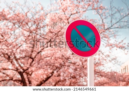 No Parking sign in Japanese park during spring with Cherry Blossom (Sakura) in Background.