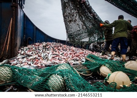 piles of fish dying on deck of a fishing trawler Royalty-Free Stock Photo #2146553211