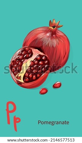 Realistic pomegranate. Vector fruit set. `Pair of pomegranates  - ruby and red. Pomegranate slice and seeds isolated. Royalty-Free Stock Photo #2146577513
