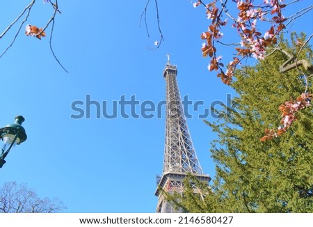 Beautiful view of the Eiffel tower with flowers in the foreground against  a blue sky on a sunny spring day