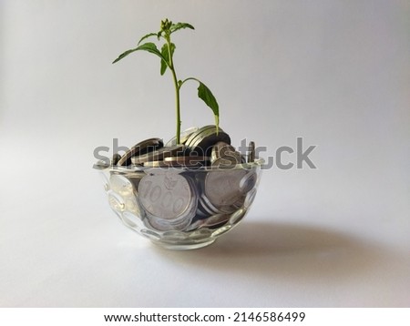 Business financial planning concept photo. coins in glass with greenery on white background. Money saving concept