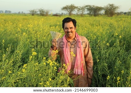 Young happy Indian farmer standing in mustard field holding money in hand enjoying the agricultural profits. He is happy to get benefitted by the mustard flourishing crops and agricultural production. Royalty-Free Stock Photo #2146699003