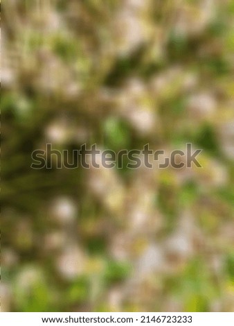 Defocused abstract background of Wild flowers 