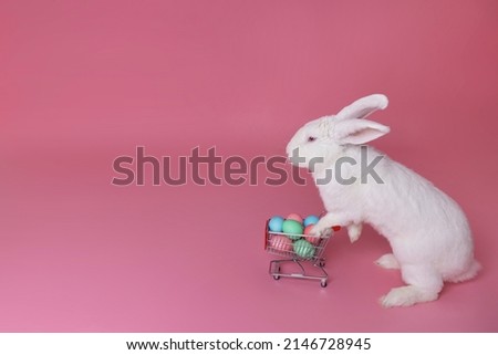 White Easter bunny rabbit with shopping basket and painted eggs on pink background