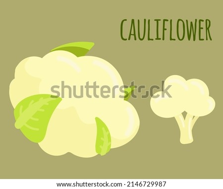 Vector illustration of a cauliflower. Whole vegetable and cut. Suitable for any designs and decorations related to organic food, vegetarian, vegan and garden. Royalty-Free Stock Photo #2146729987