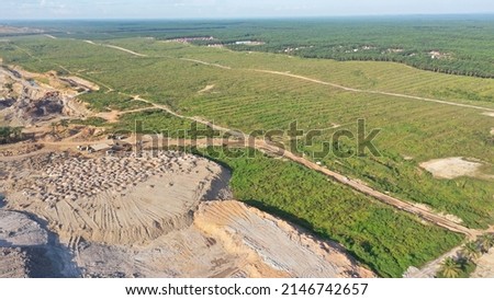 Palm Plantation from Aerial Indonesia