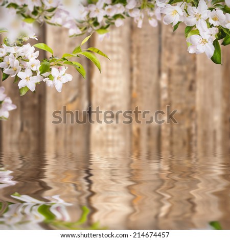 Nature composition. Apple flowers on a blurred wooden background, reflected in water