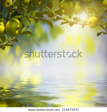 Nature composition. Green apples on a blurred nature background, reflected in water