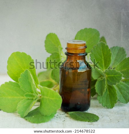 Essential aroma oil with peppermint 