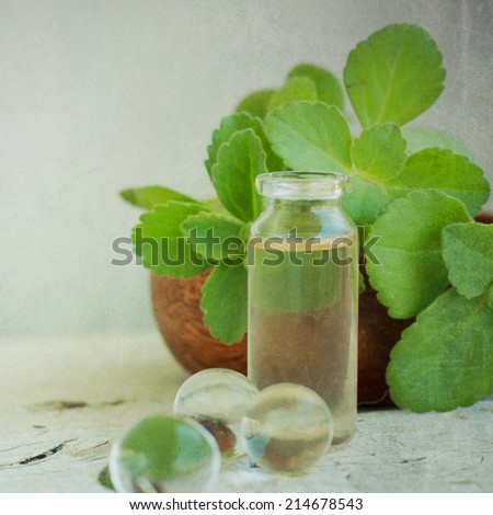Essential aroma oil with peppermint 