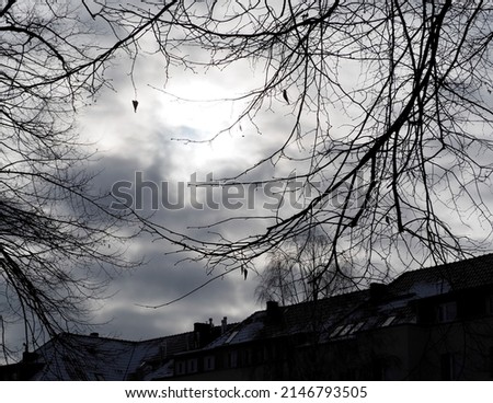 tree branches next to the roof of the house against the gray sky on an autumn cloudy day