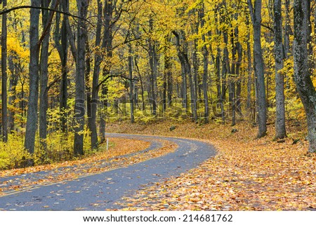 Winding asphalt road with autumn foliage - Shenandoah National Park, Virginia United States 