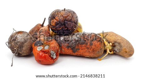 Heap of rotten vegetables and fruits isolated on a white background. Royalty-Free Stock Photo #2146838211
