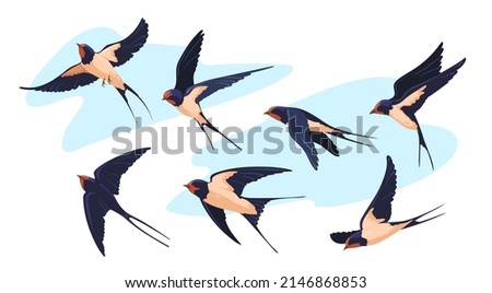 Wildlife swallow. Isolated flying swallows bird swallowing vole, birding swift air flight songbird martin plumage wings flock birds above sky tattoo design neat vector illustration