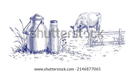 milk in a can and a cow hand drawing sketch engraving illustration style Royalty-Free Stock Photo #2146877065