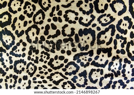 Real skin texture of Leopard seamless pattern abstract feathered Leopard skin background pattern, Abstract animal skin leopard seamless pattern design. Jaguar, leopard, cheetah, panther fur. Royalty-Free Stock Photo #2146898267