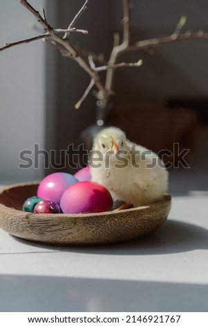 Chickens with Easter eggs on the table
