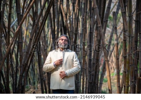 A grey bearded man in fashionable attire posing for picture in a public park  amid cluster of bamboo trees.