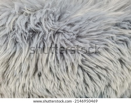 Close up of abstract gray fur background.