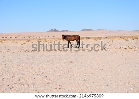 NAMIBIA PICTURES SHOT IN 2019