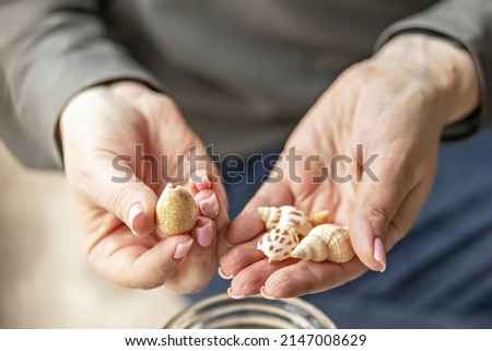 Women's hands hold seashells. Puts the shells in a glass jar. Beach Treasures.
