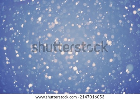 the christmas snowfall in the evening, natural photography