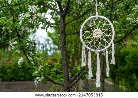 Dreamcatcher handmade spider net or web charm on willow hoop, string, beads. Native crafts white items in boho style. Decorative ornament in the garden in spring mood.