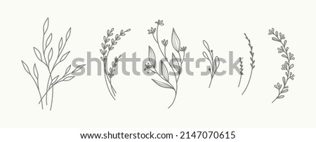 Minimal hand drawn floral botanical art. Trendy elements of wild and garden plants, branches, leaves, flowers, herbs. Vector illustration for logo or tattoo, invitation save the date card Royalty-Free Stock Photo #2147070615