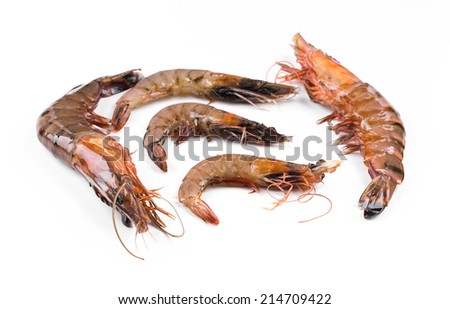 Fresh tiger shrimp on a white background