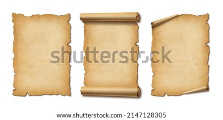 Old Parchment paper scroll isolated on white with shadow. Vertical banners set
