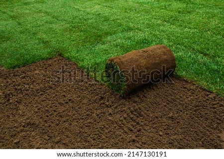 Turf rolls being applied on the land Royalty-Free Stock Photo #2147130191