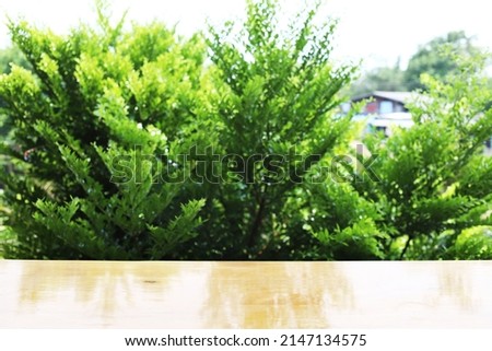 wood table and green tree, green leaf background, blank plank woodden with sunlight outdoor