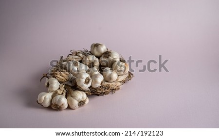 Fragrant Garlic wreath lies on light background. Agriculture and farming
