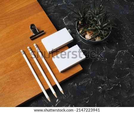 Blank corporate id template. Photo of blank business cards, pencils, succulent plant and metal clip.