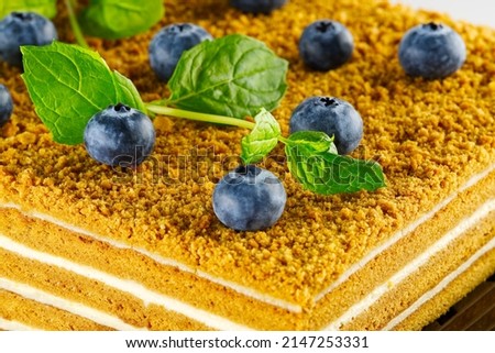 Honey cake with berries close up. Honey cake with blueberries and mint
