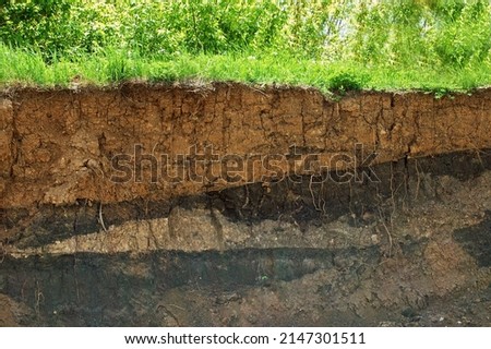 The soil. Soil layer in section. Royalty-Free Stock Photo #2147301511