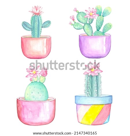 Watercolor set of illustrations, cactus in flower pots