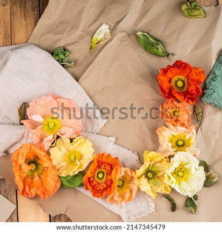 Poppy flowers of different colors flatlay